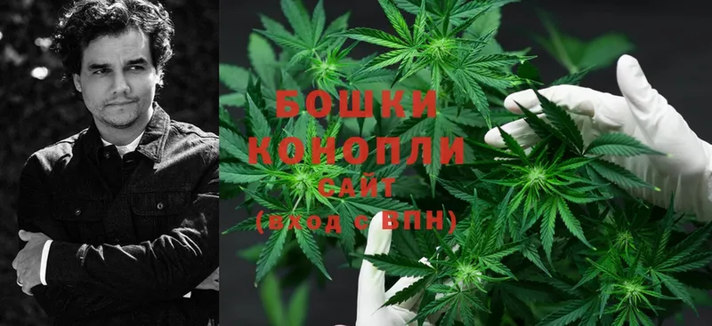 Каннабис Ganja  мориарти телеграм  Котельниково 